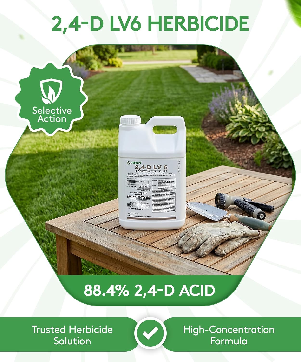 Alligare LV 6 2,4-D Selective Weed Killer Concentrate - Post-Emergent Herbicides to Control Broadleaf Weeds/Brush in Corn, Soybeans (Preplant) & Rights-of-Way - 88.4% Active Ingredient - 2.5 Gallons