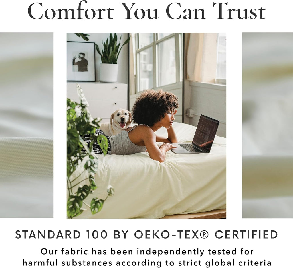 Bamboo Bay 4 Piece Queen Size Sheet Set, 100% Viscose Made from Bamboo, Breathable, Ultra Soft Cooling Bed Sheets for Hot Sleepers, Beddings with Deep Pockets Fit 16' Mattress, Ivory