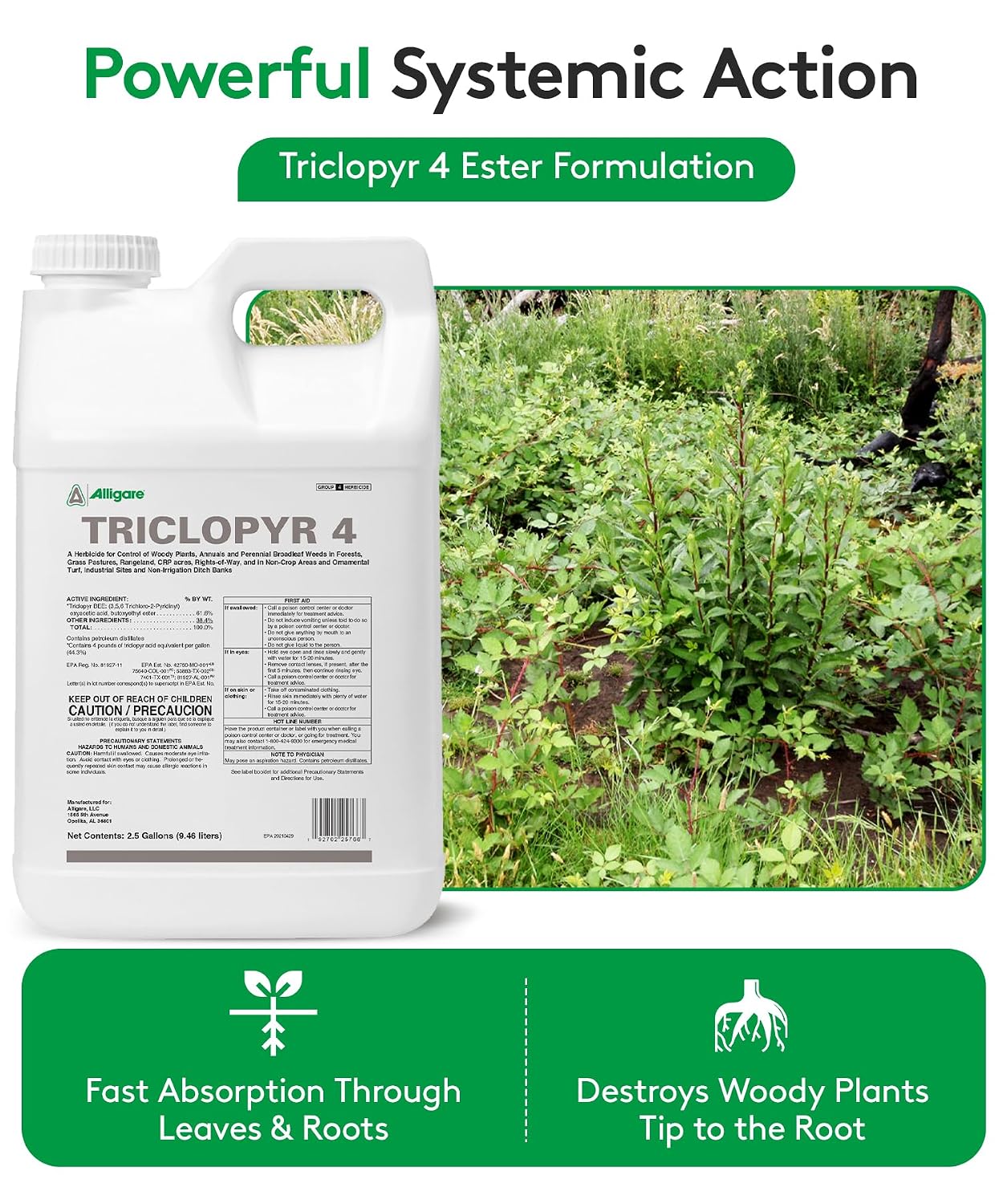 ALLIGARE - Triclopyr Herbicide 4 EC Selective Weed Killer for Woody Plants, Brush for Forestry, Pastures, Rights-of-Way, Wetlands & Industrial Sites - Compare to Garlon 4 & Remedy - 2.5 Gallon