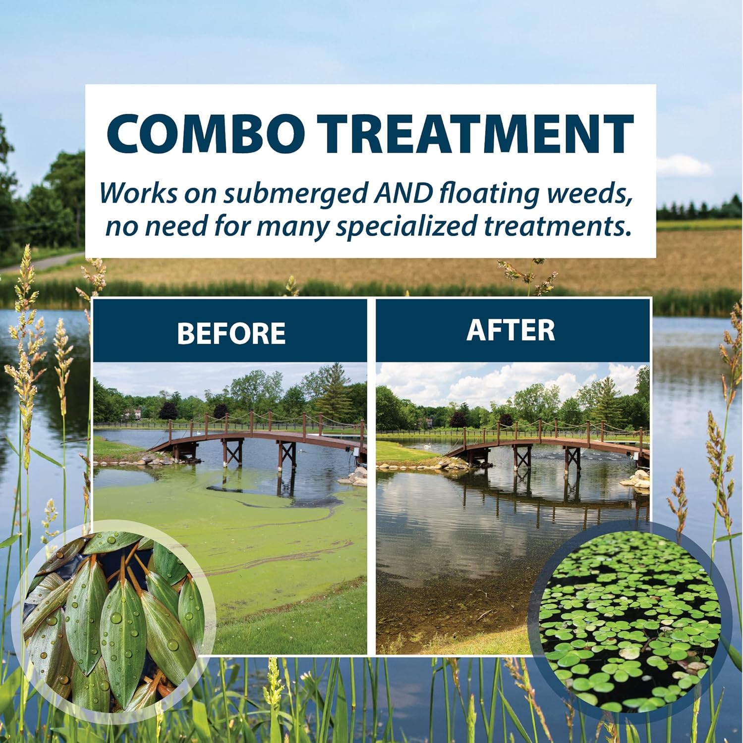 Airmax Wipeout Pond Weed Defense, Herbicide & Aquatic Weed Control, Controls Duckweed & Other Unwanted Submerged & Floating Vegetation, Easy-to-Use & Long Lasting, All-Season Treatment - 8 Ounce