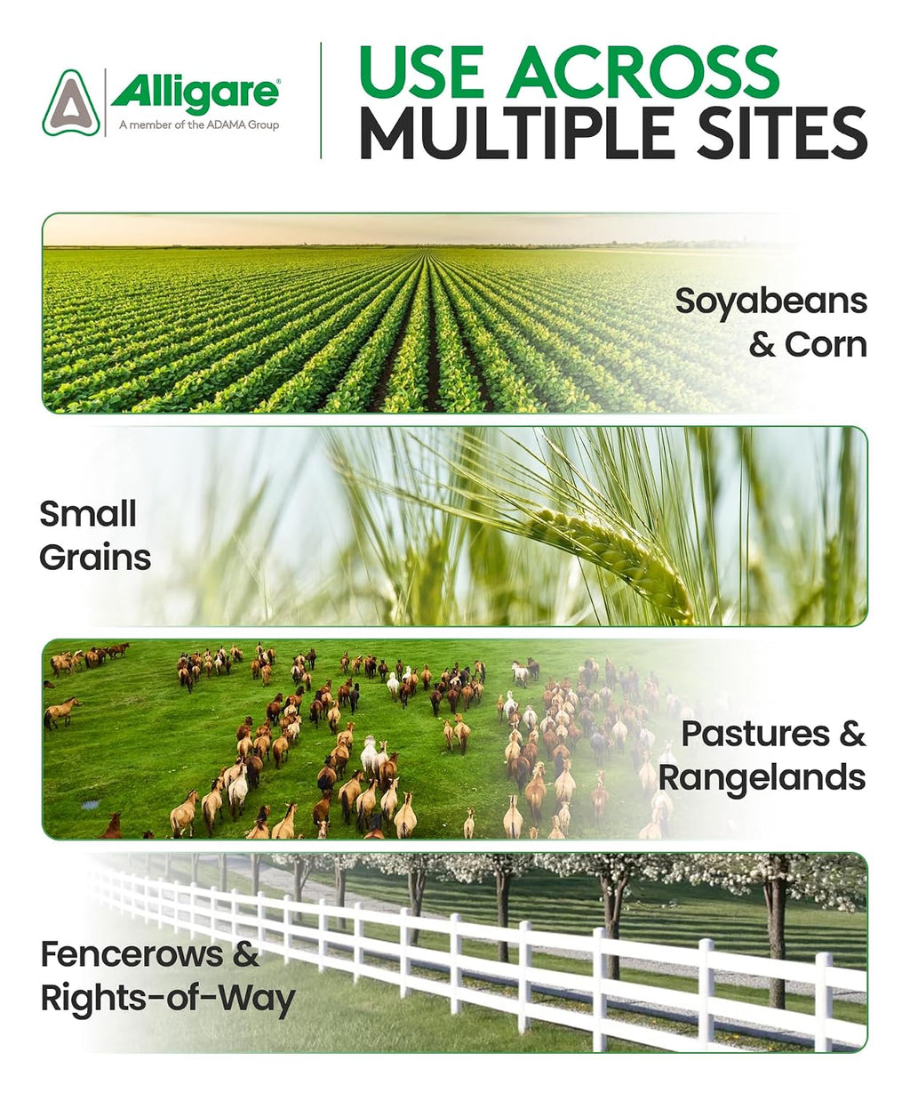 Alligare LV 6 2,4-D Selective Weed Killer Concentrate - Post-Emergent Herbicides to Control Broadleaf Weeds/Brush in Corn, Soybeans (Preplant) & Rights-of-Way - 88.4% Active Ingredient - 2.5 Gallons