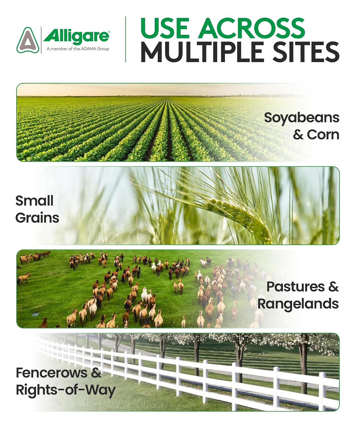 Alligare LV 6 2,4-D Selective Weed Killer Concentrate - Post-Emergent Herbicides to Control Broadleaf Weeds/Brush in Corn, Soybeans (Preplant) & Rights-of-Way - 88.4% Active Ingredient - 2.5 Gallons