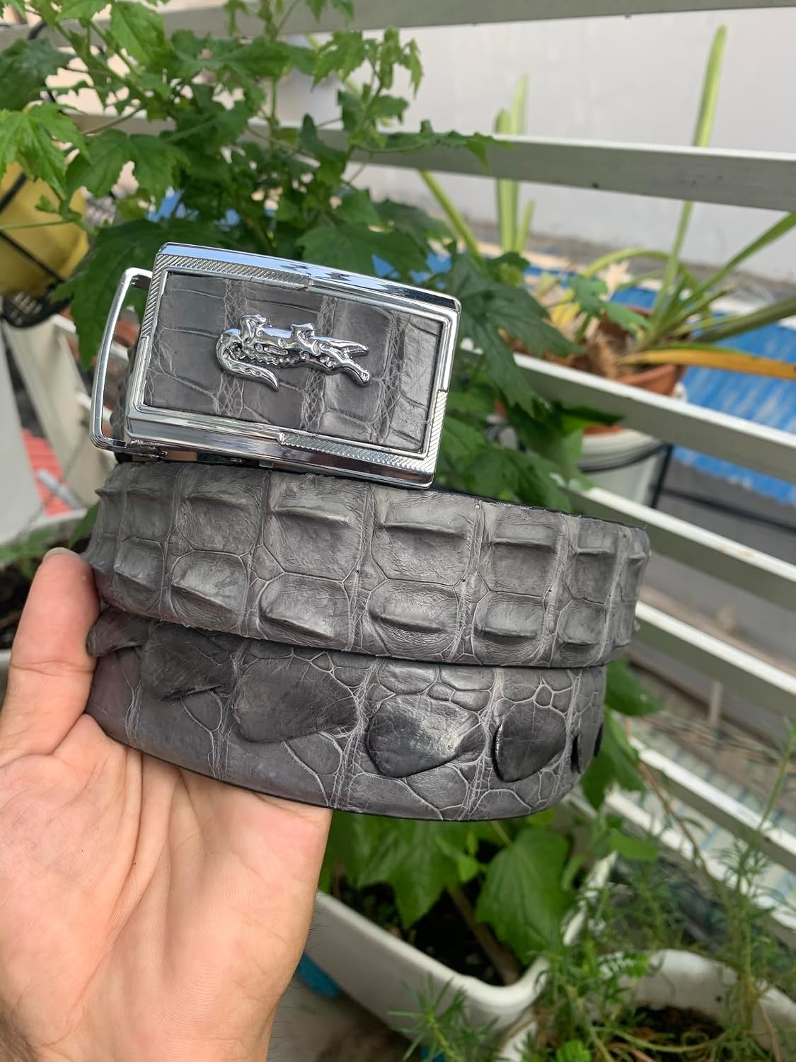 Genuine Alligator Leather Belts Buckle for Men, Crocodile Skin Belt for Mens