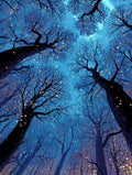Starry Sky Diamond Art Kits for Adults, Tree 5D Diamond Painting, Full Drill Dimond Art Paintings for Beginners, DIY Pictures Gem Crafts for Adults, Hobbies for Women, Fall Decor, Gifts 40x54in E-2040