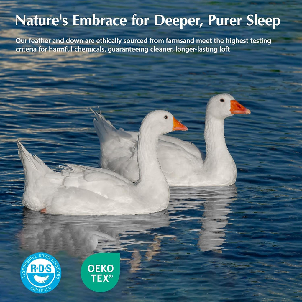 Pacific Coast Goose Down Fiber Comforters Super King Duvet Insert, All Season White Comforter, 3D Hidden-Stitch Baffle Box Design, 8 Tabs, Gifts for Women/Men, Extra Fluffy Luxury Duvet (120'x120')