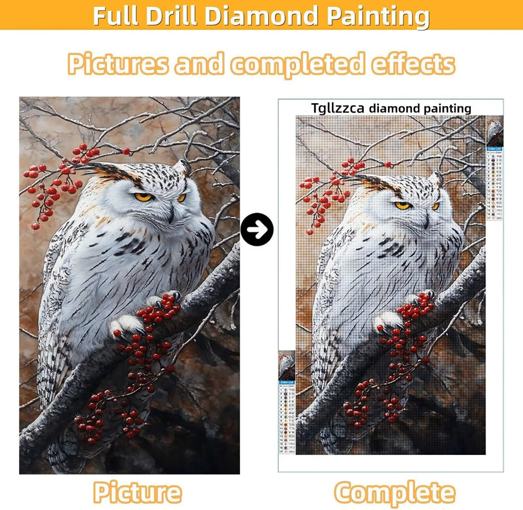 Diamond Art Kits for Adults Owl Diamond Painting Kits 5D DIY Round Snow Full Drill Dimond Art Paintings Crystal Rhinestones Crafts for Adults for Gift Home Wall Decor, Large Size 36 x 72 Inch,Model987