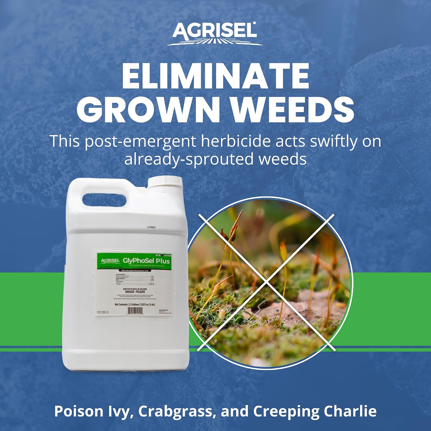 Agrisel GlyPhoSel Plus Weed Killer, Post Emergent, Long-Lasting Action, Eliminates Tough Weeds from Leaf to Root, For Non-Crop Areas, Pet Safe, Includes 3-pack of Agrisel Protective Gloves, 320 Ounces
