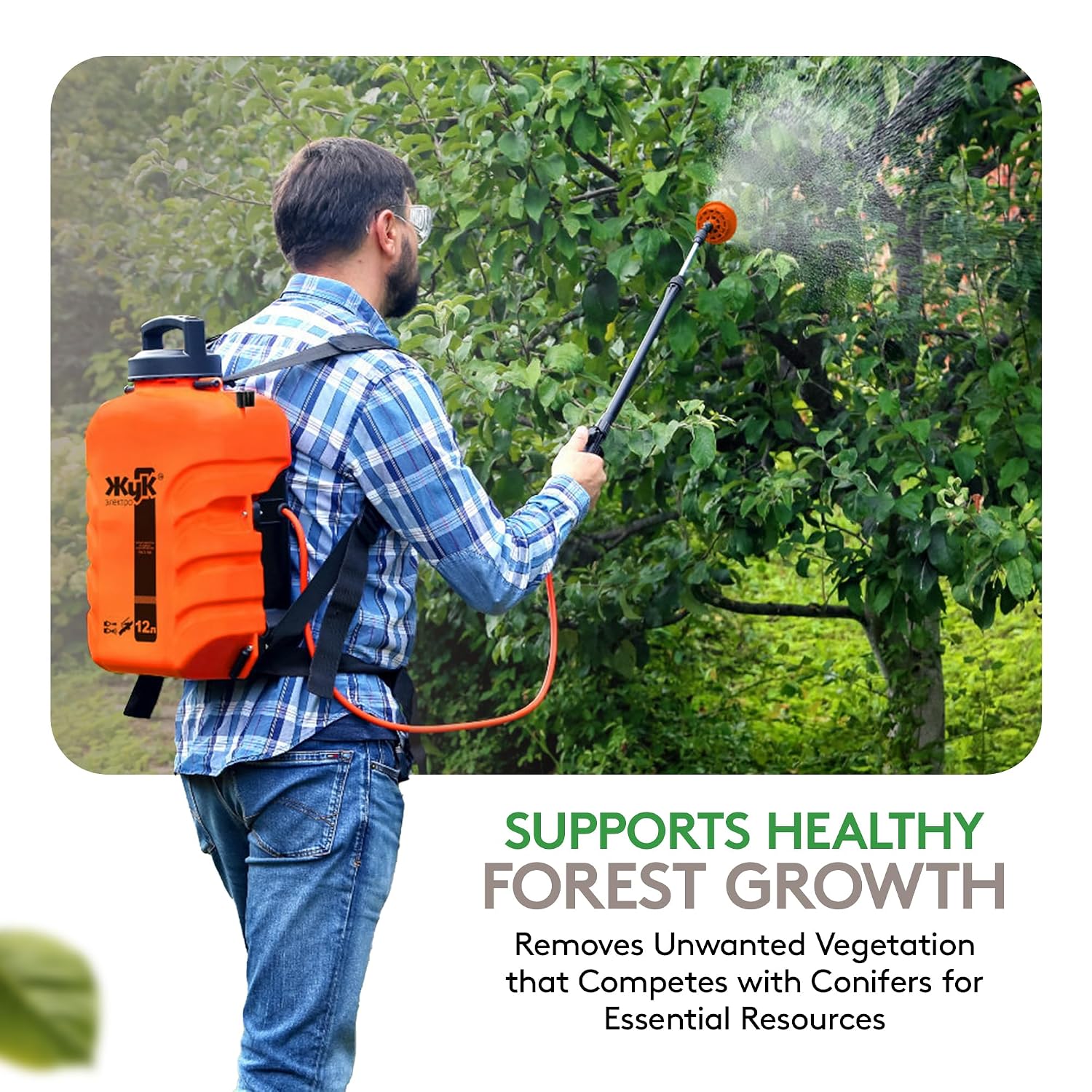 Alligare Imazapyr Herbicide 4 SL for Broad Spectrum Control of 185 Annual, Biennial, and Perennial Weeds & Brush - 2.5 Gallon Liquid Weed Killer, Ideal for Rangeland, Bare-Ground, and Site Preparation