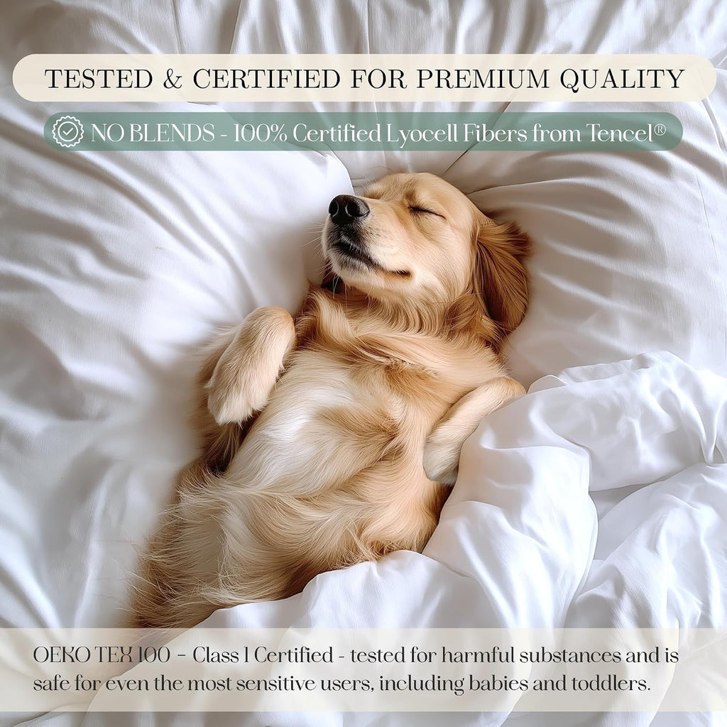 Eucalyptus Sheets - Infused with Silver for Anti-Odor, Softer Than Silk Fibers, More Cooling Than Cotton - Perfect for Hot Sleepers & Sensitive Skin - 100% Tencel Lyocell - Cali-King Sheet Set