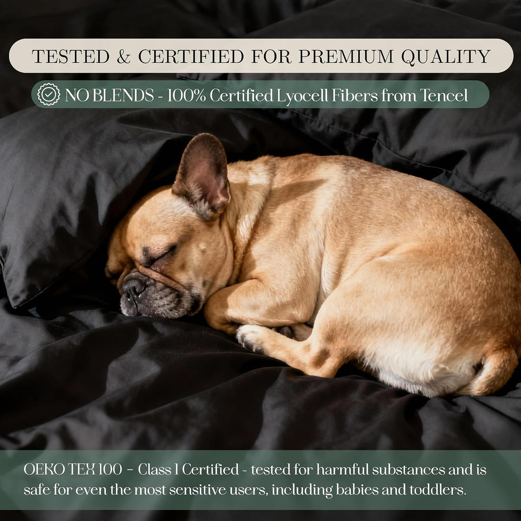 CASILVA Eucalyptus Sheets - Infused with Silver for Anti-Odor, Softer Than Silk Fibers, More Cooling Than Cotton - Perfect for Hot Sleepers & Sensitive Skin - 100% Tencel Lyocell - Queen Sheet Set