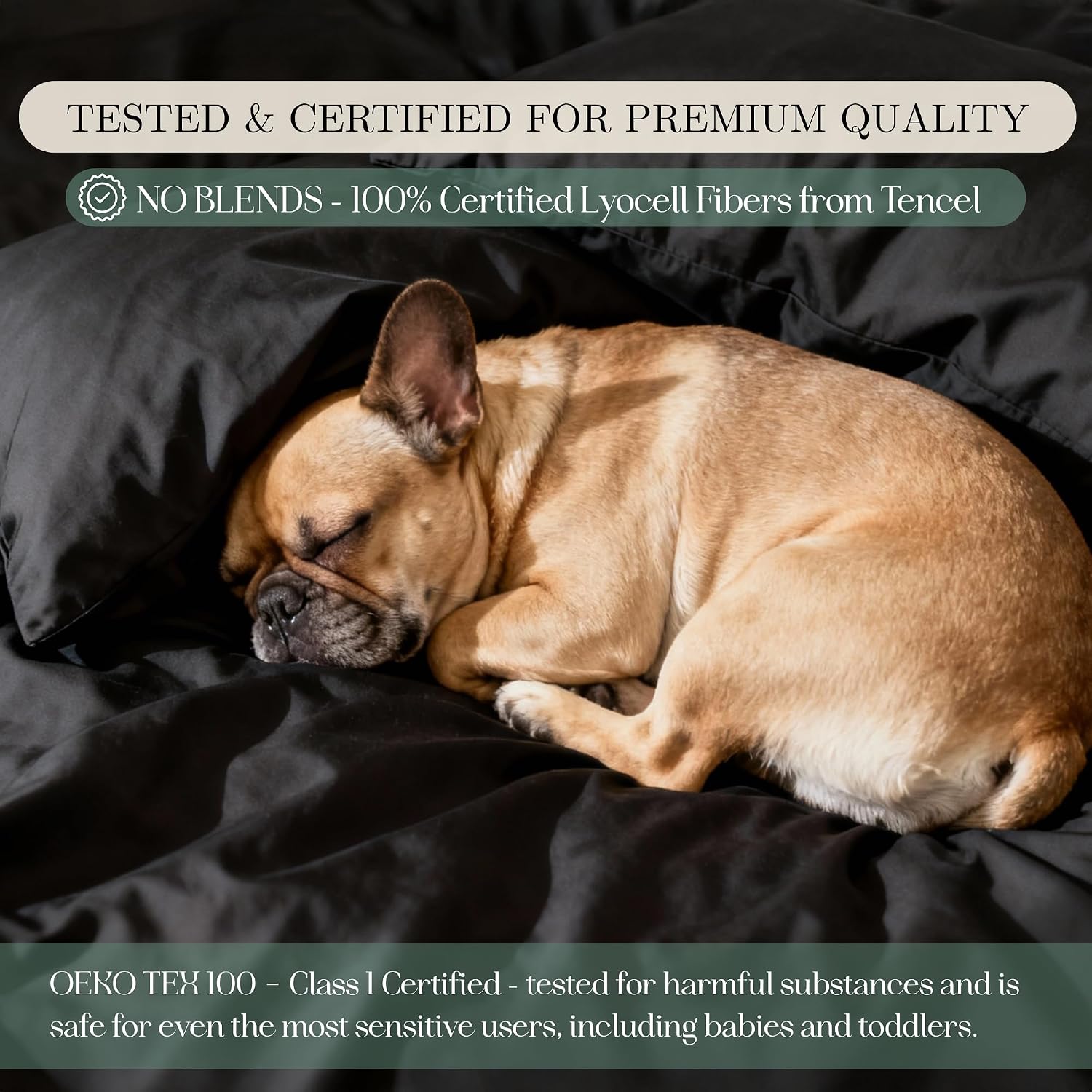 CASILVA Eucalyptus Sheets - Infused with Silver for Anti-Odor, Softer Than Silk Fibers, More Cooling Than Cotton - Perfect for Hot Sleepers & Sensitive Skin - 100% Tencel Lyocell - Queen Sheet Set
