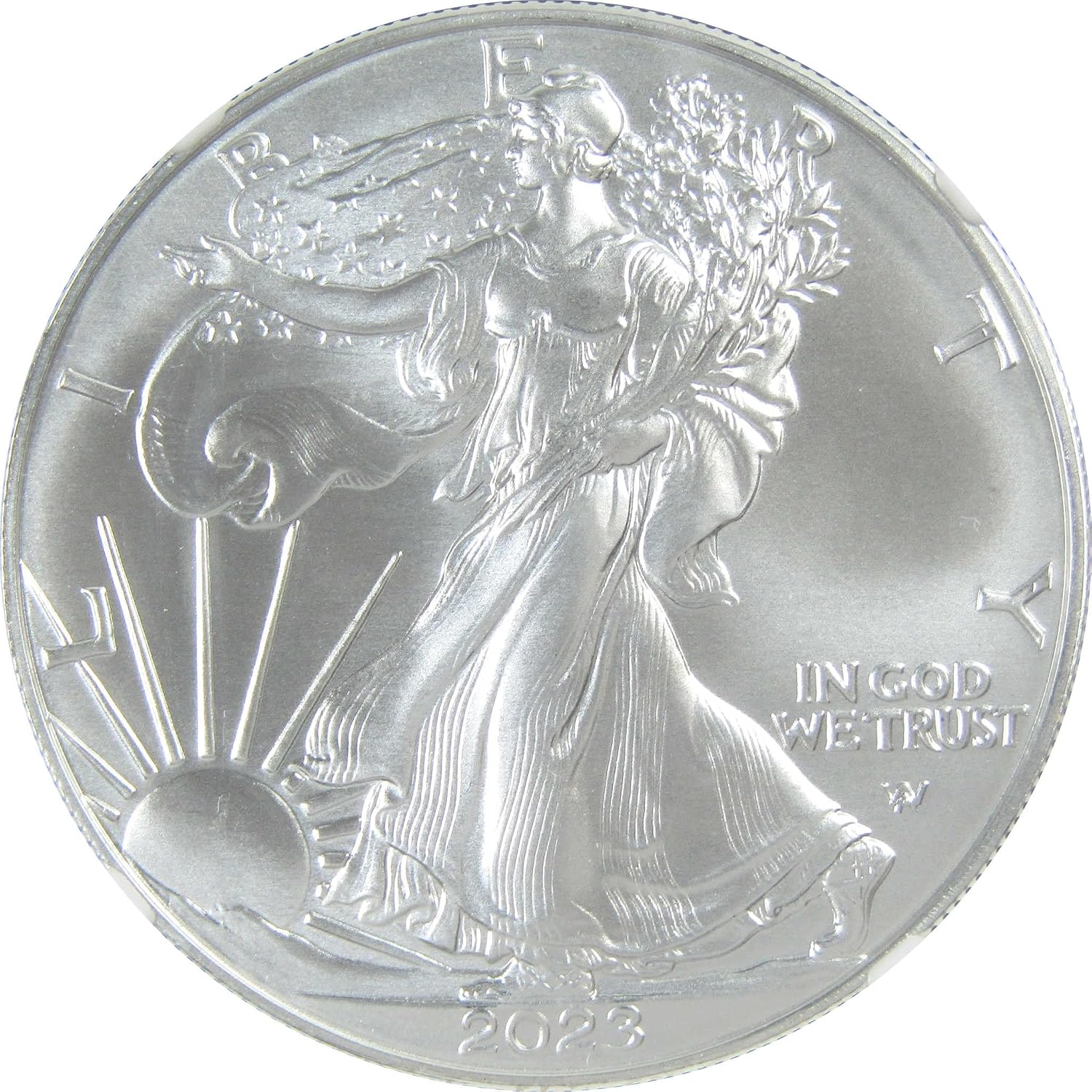 2023 American Silver Eagle MS 70 NGC Bullion Uncirculated $1 Coin