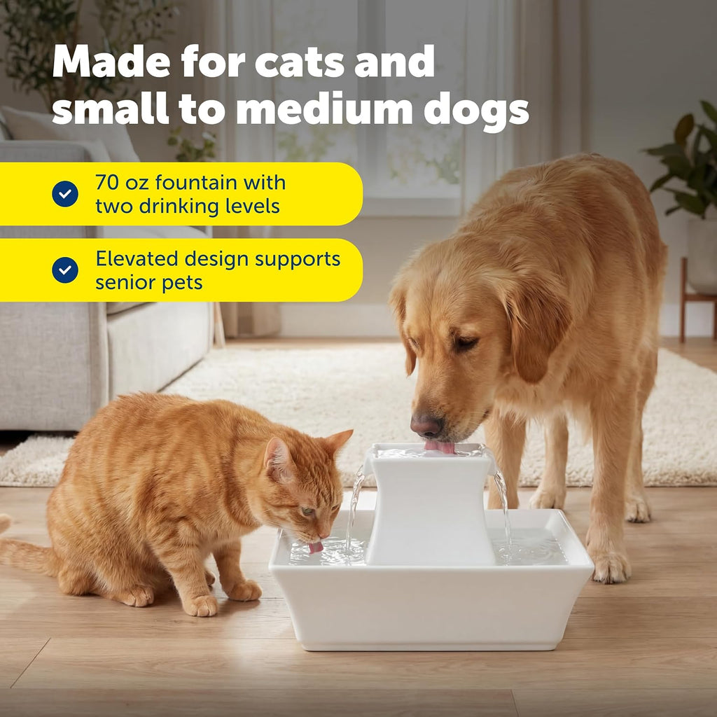 PetSafe Drinkwell Pagoda Pet Fountain 70 oz/ 2L Capacity,Elevated Indoor Ceramic Cat Water Fountain, 2 Levels of Free-Falling Stream, Included Carbon & Foam Filter Provide Fresh Water with Every Sip