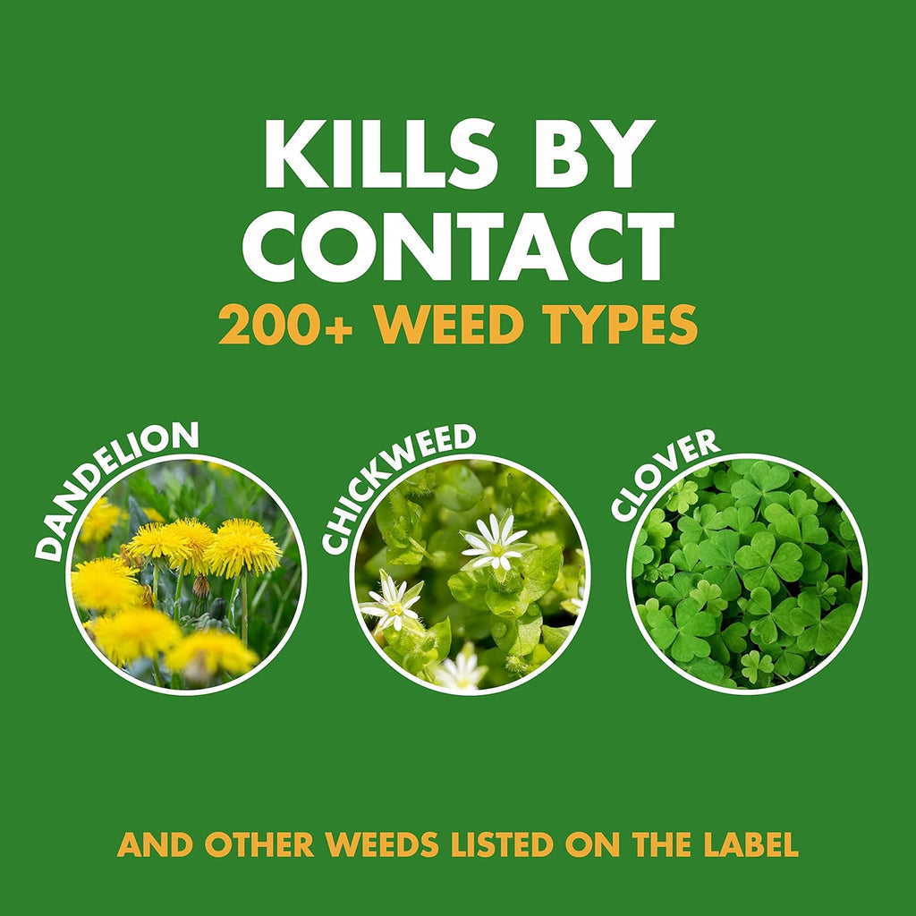 Spectracide Weed Stop For Lawns (AccuShot Sprayer) (Pack of 4)