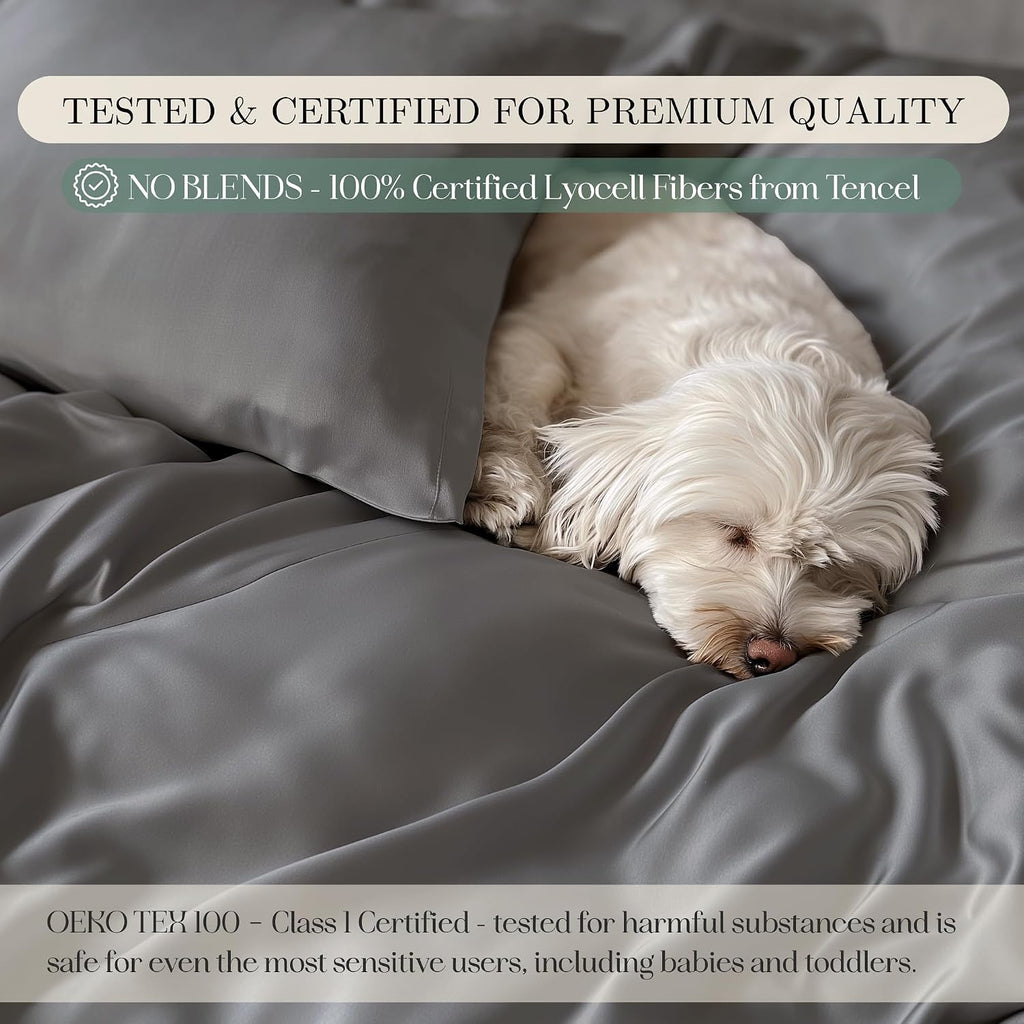 CASILVA Eucalyptus Sheets - Infused with Silver for Anti-Odor, Softer Than Silk Fibers, More Cooling Than Cotton - Perfect for Hot Sleepers & Sensitive Skin - 100% Tencel Lyocell - Queen Sheet Set