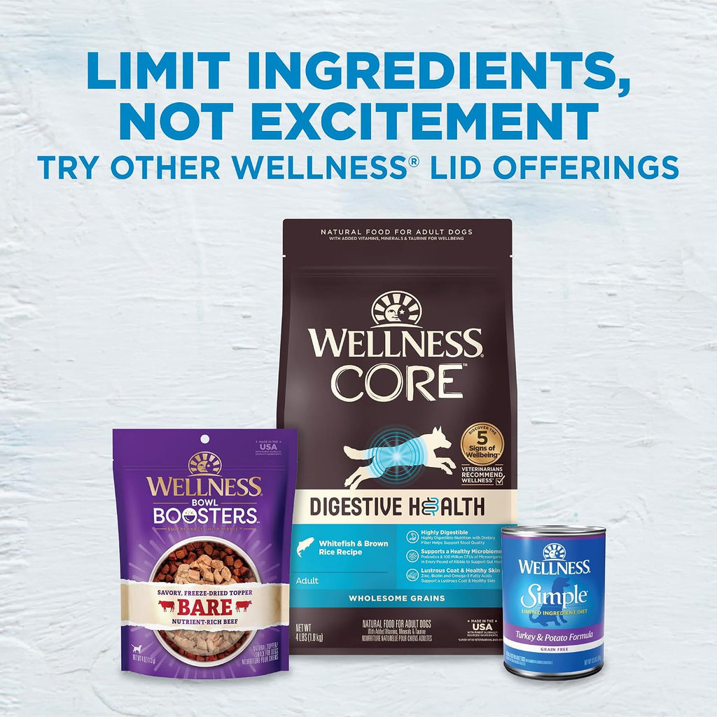 Wellness Simple Limited Ingredient Adult Dry Dog Food, Grain Free Kibble, Sensitive Stomach, Skin & Coat Support, Natural, Chicken Free, Salmon and Potato Recipe, 40 lb Bag