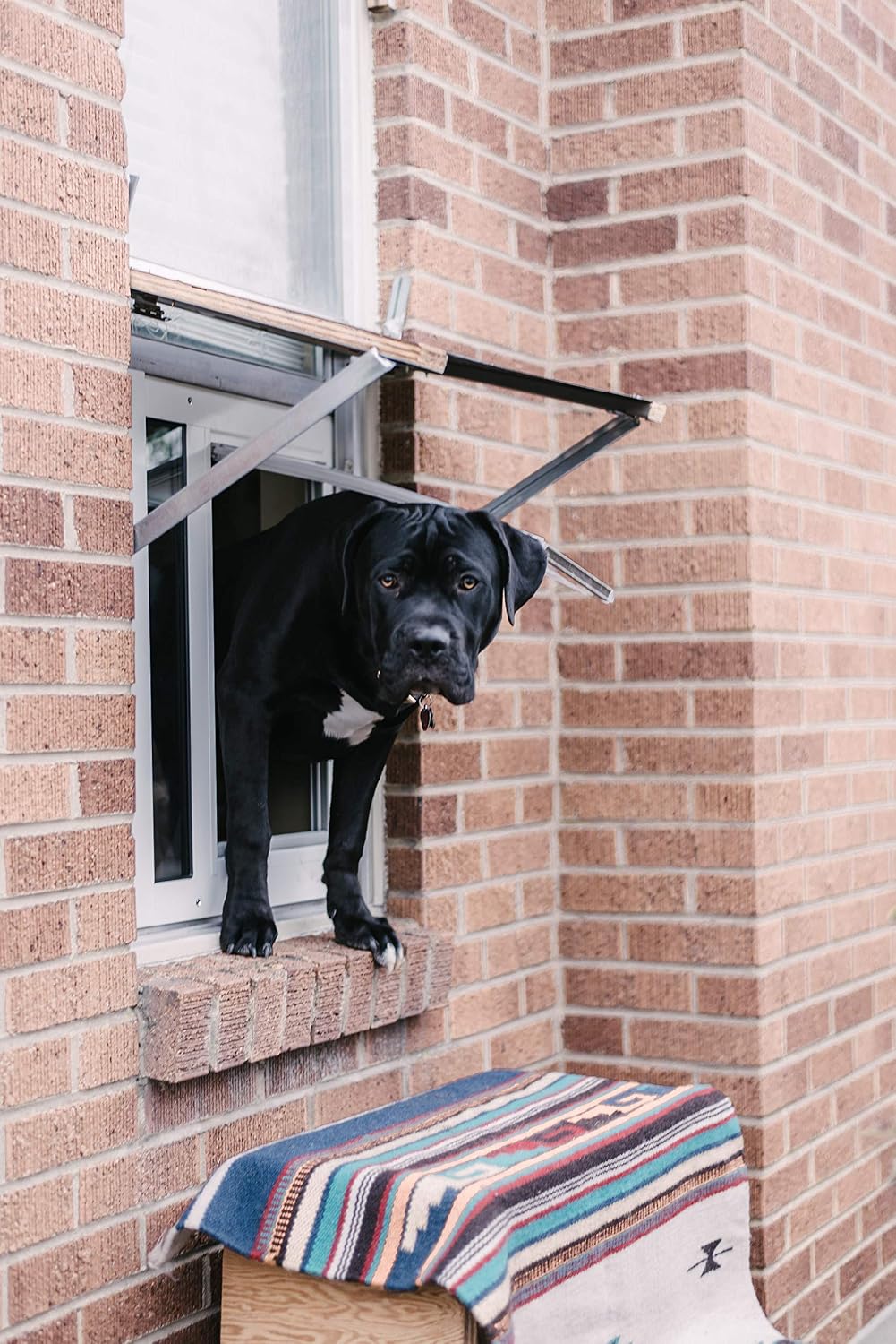 Endura Flap Pet Door for Sash Windows | Energy-Efficient Window Insert with Dual-Layer Insulating Flap | Easy Installation in Vertical Sliding Windows | White, Large Flap, 37'-40' Window Width