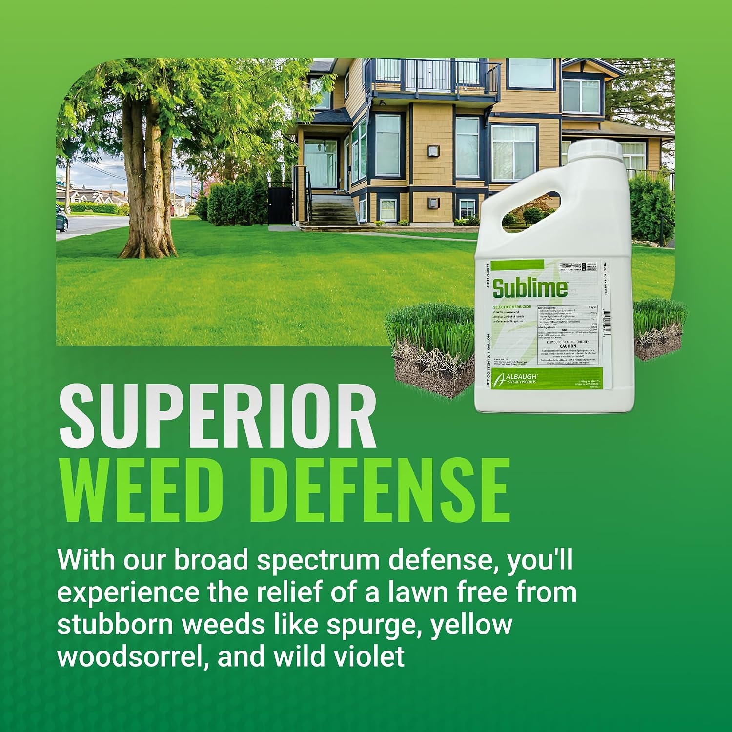 Albaugh Sublime Weed Killer, Unrivaled Defense Against Crabgrass, Creeping Charlie, Dandelions & More, Non-Bleaching Formula, Fast-Acting, Commerical & Residential, 1 Gallon