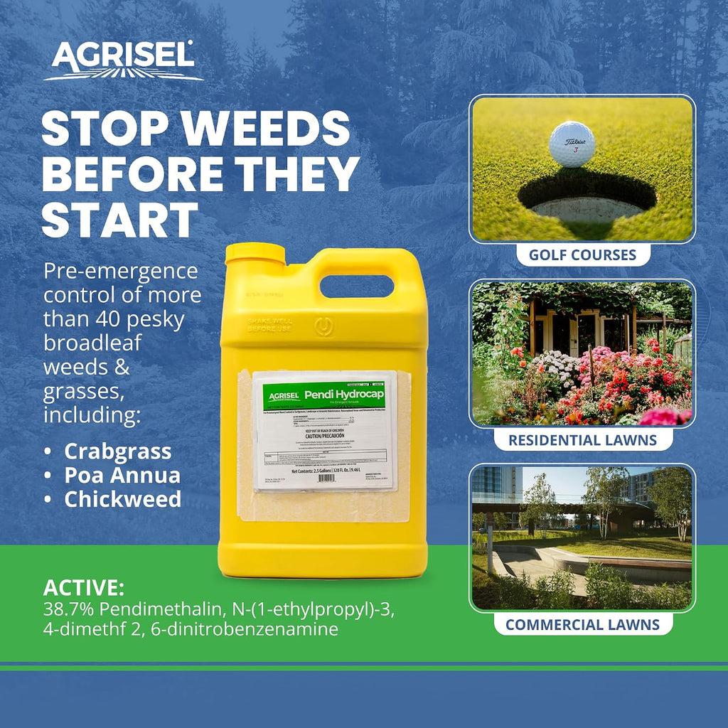 Agrisel Pendi Hydrocap Weed Killer, Pre-Emergent Formula, Effective on 40+ Broadleaf Weeds and Grasses, No-Stain, Mixes Easily, Pet Safe, Includes 3-Pack of Agrisel Protective Gloves, 320 Ounces
