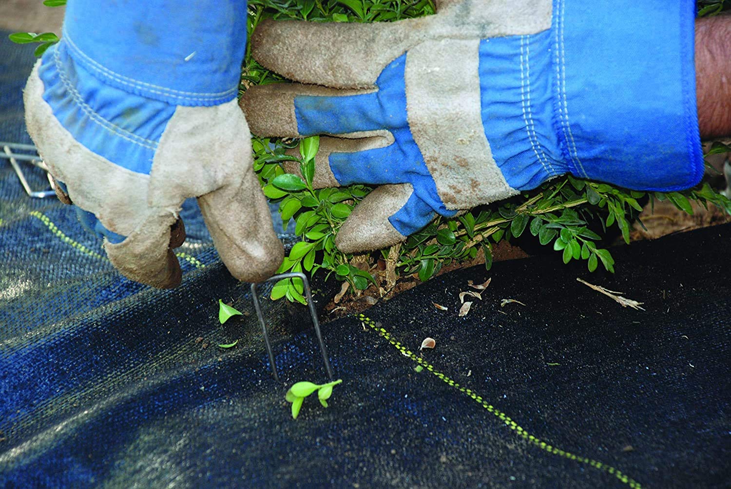 Dewitt 6-Pack Pro-5 Weed Barrier Fabric 5 oz, 4 x 250 Feet – Heavy-Duty Woven Landscape Ground Cover Mat for Raised Garden Bed, Greenhouse Gardening, Outdoor Landscaping, and Commercial Planting