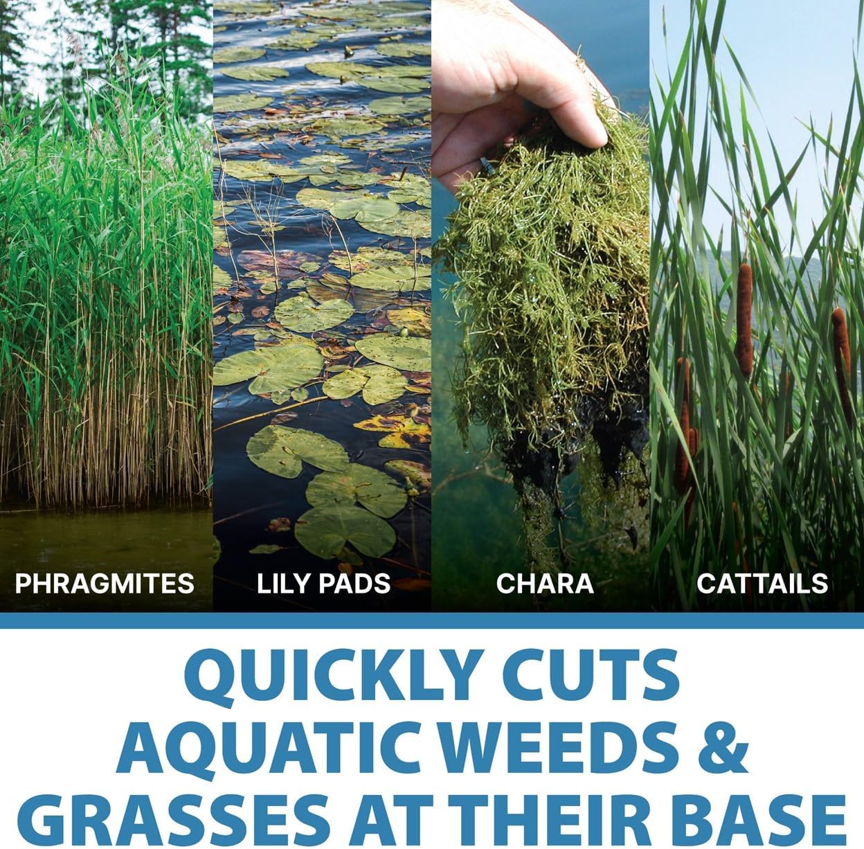 Jenlis Weed Razer Pro, Lake Weed Cutter, Large Pond Aquatic Plant Cutting Tool, Sharp Razor Blades Shear Cattail, Reed, Lilly & Chara Algae, Adjustable 30'-62' Inch Cut Width, 25' Foot Throw Rope