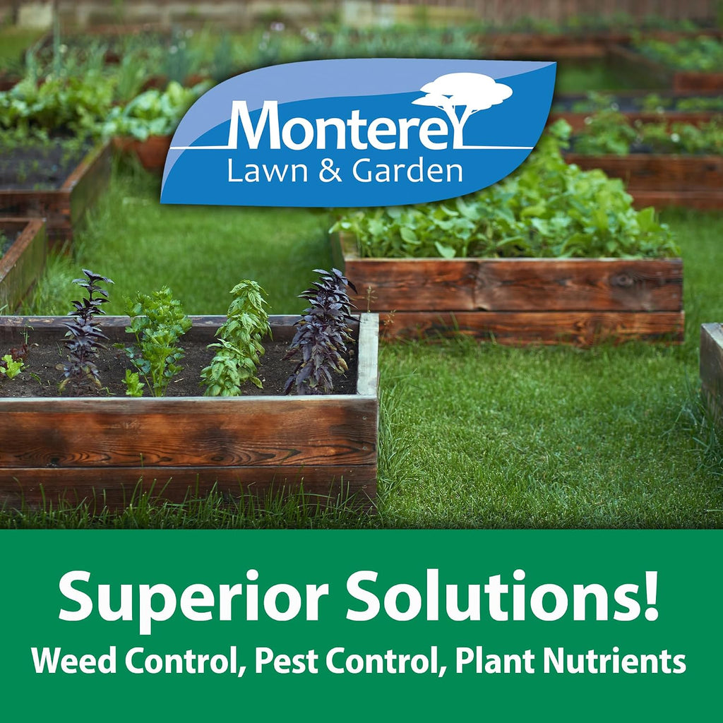 Monterey Turflon Ester Bundled with Measuring Spoon - Specialty Herbicide - Controls Annual & Perennial Broadleaf Weeds - 1 Quart