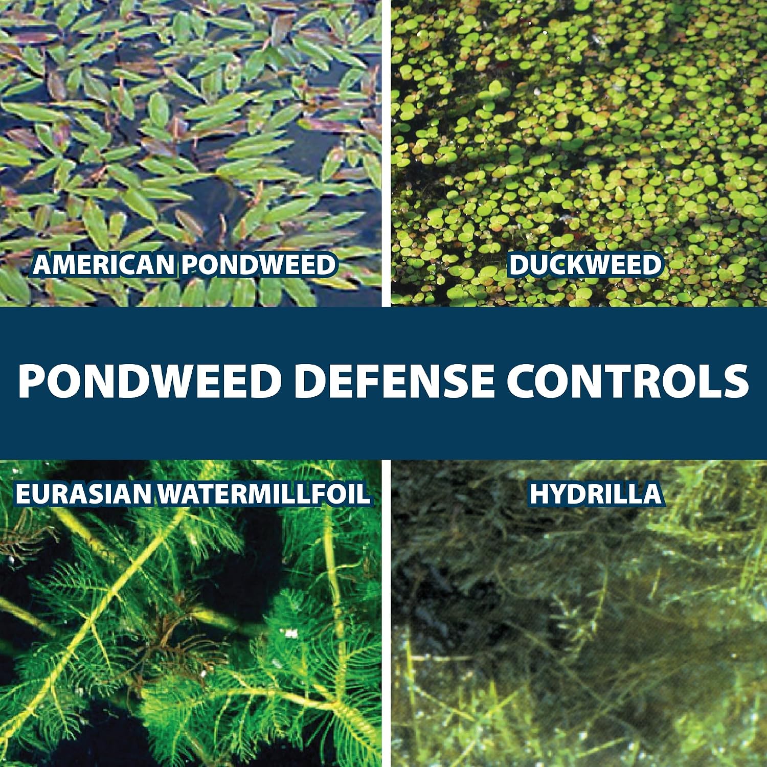 Airmax Ultra Pondweed Defense Aquatic Weed & Plant Killer, Easy Spray Application to Clean & Clear Large Pond & Lake Water, Liquid Treatment Control Concentrate, Fish, Pet & Animal Safe, 1 Gallon