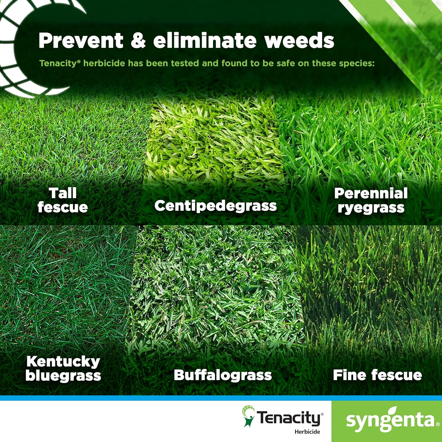 Syngenta Tenacity Herbicide - Pre-Emergent and Post-Emergent Weed Control, 8-oz. Liquid Weed Killer for Lawns and Turf Grasses, Active Ingredient Mesotrione Herbicide (3 Pack)