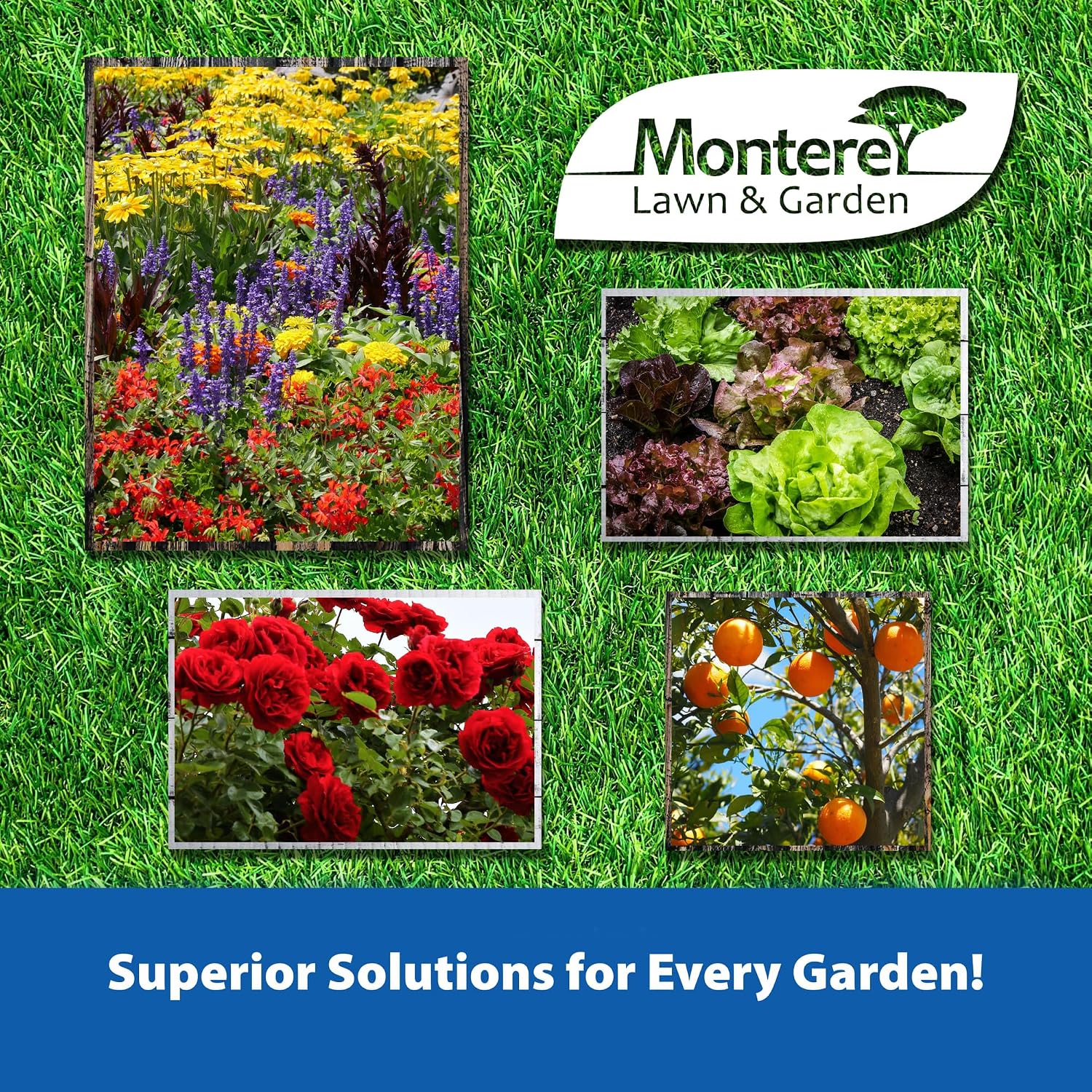 Monterey Turflon Ester Bundled with Measuring Spoon - Specialty Herbicide - Controls Annual & Perennial Broadleaf Weeds - 1 Quart