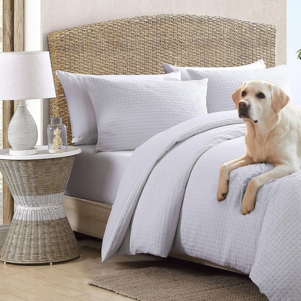 Tommy Bahama - Queen Comforter Set, Soft Cotton Bedding Set with Matching Shams, Medium Weight & Ideal for All Seasons (Basketweave White, Queen)