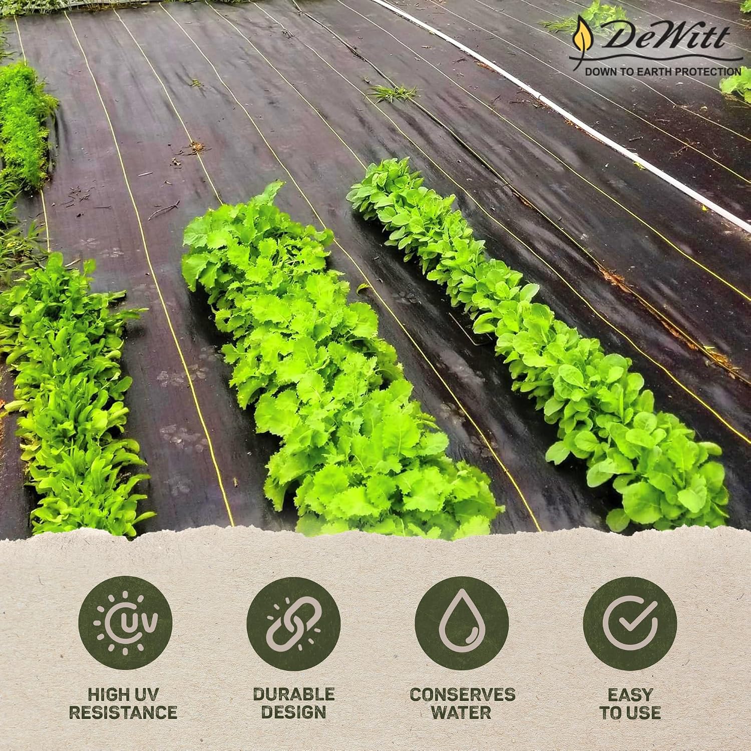 Dewitt Pro-5 Weed Barrier Fabric 5 oz, 6 x 250 Feet – Heavy-Duty Woven Landscape Ground Cover Mat for Raised Garden Bed, Greenhouse Gardening, Outdoor Landscaping, and Commercial Planting