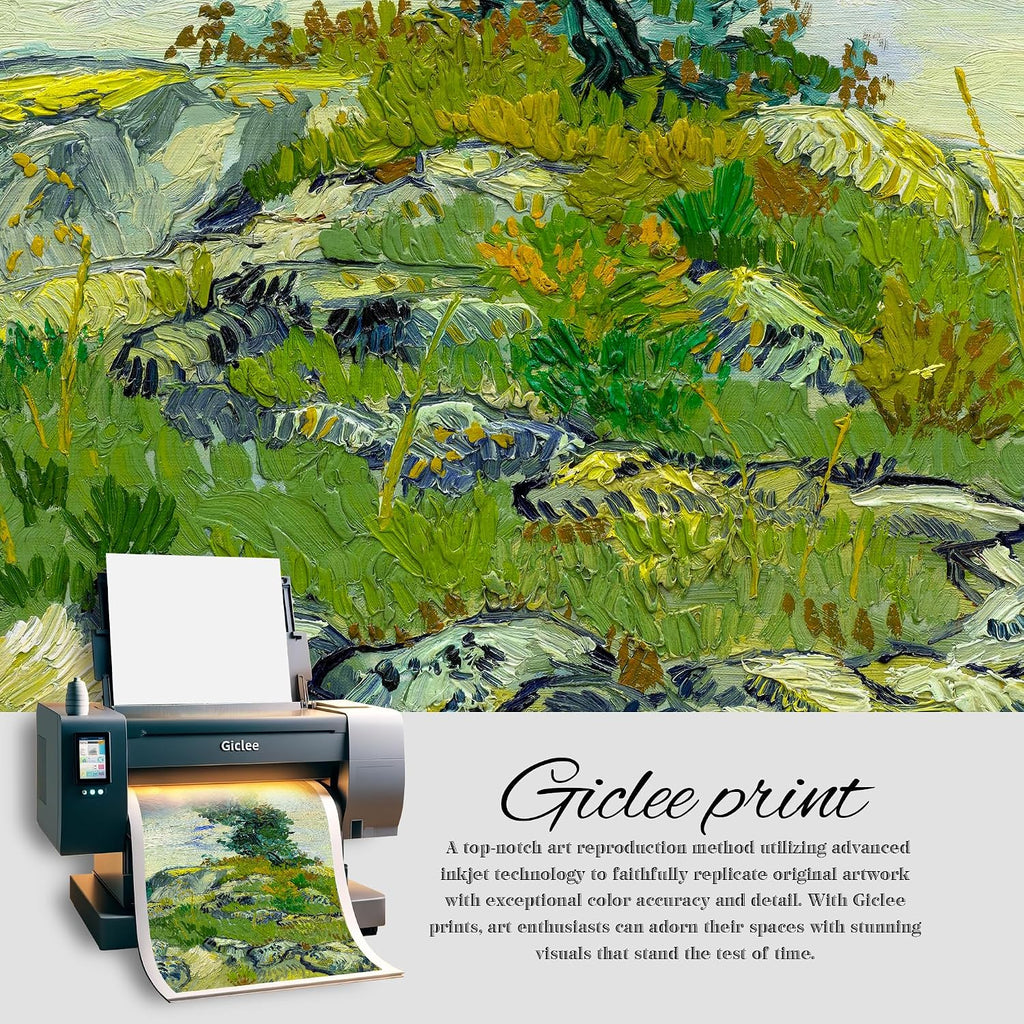 BOTTEGAARTS The Rocks Wallart Image Size:30x24 Framed Size:34.5x26.5 Wooden Golden Frame Vangogh Classic Art Reproductions. Giclee Print