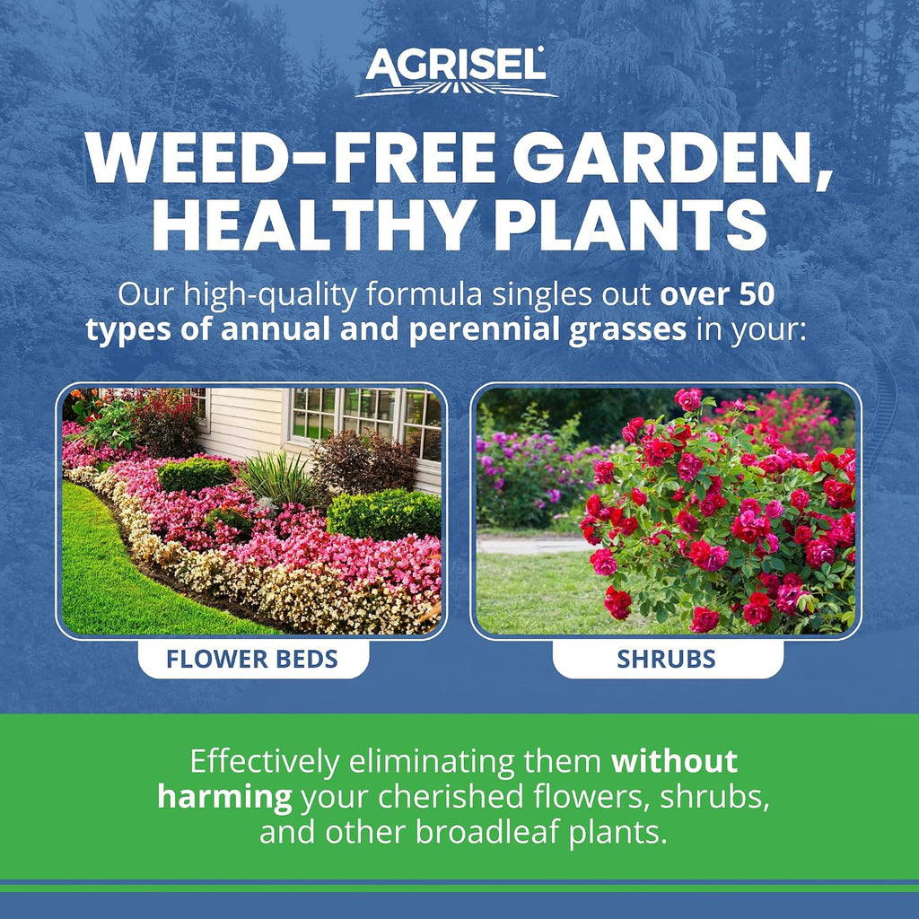 Agrisel GrassOut Max Weed Killer, Targets 50+ Grassy Weeds Without Harming Desired Plants, Pet Safe, Large Area Treatment, Easy Application, Includes 3-Pack of Agrisel Protective Gloves, 128 Ounces