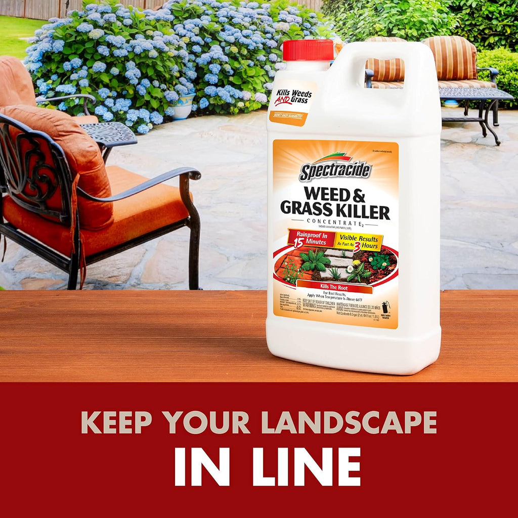 Spectracide Weed & Grass Killer Concentrate, 64-Ounce, 6 Pack
