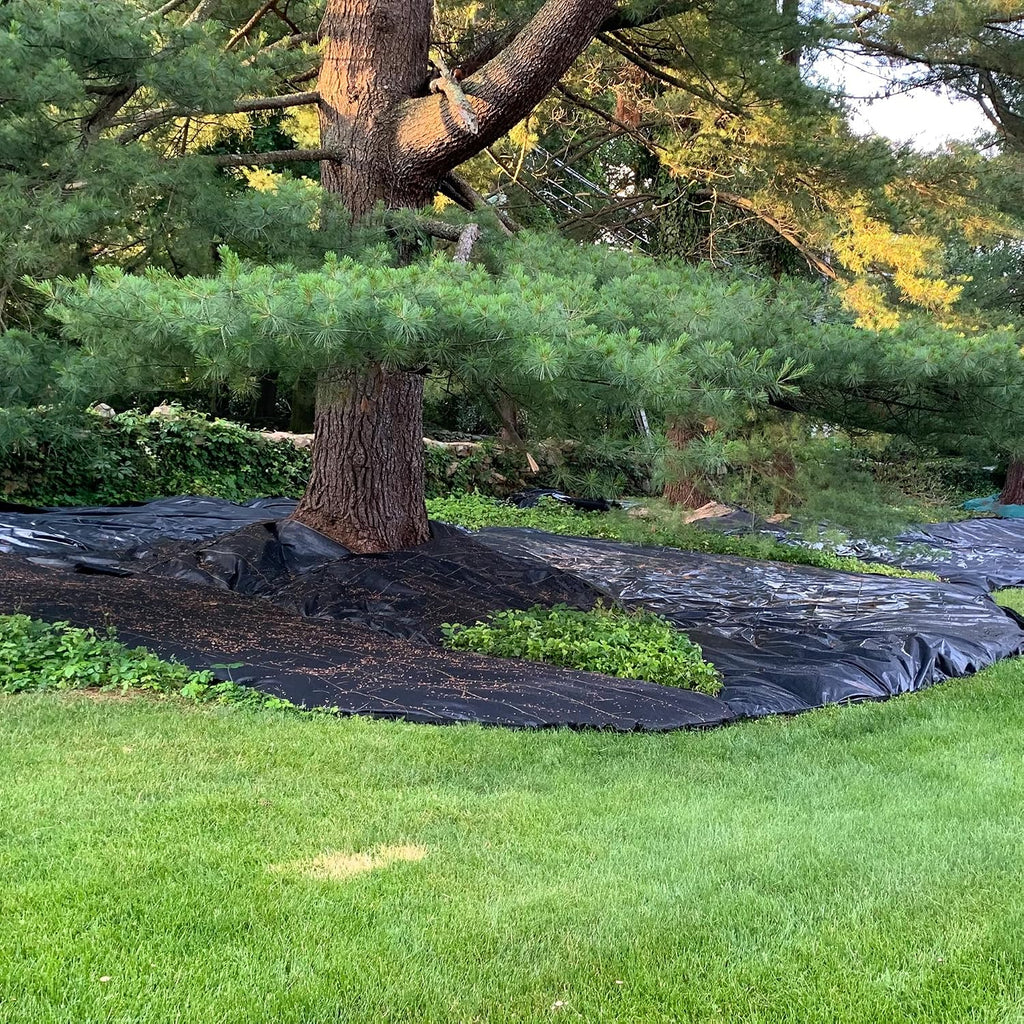 Dewitt Pro-5 Weed Barrier Fabric 5 oz, 6 x 250 Feet – Heavy-Duty Woven Landscape Ground Cover Mat for Raised Garden Bed, Greenhouse Gardening, Outdoor Landscaping, and Commercial Planting