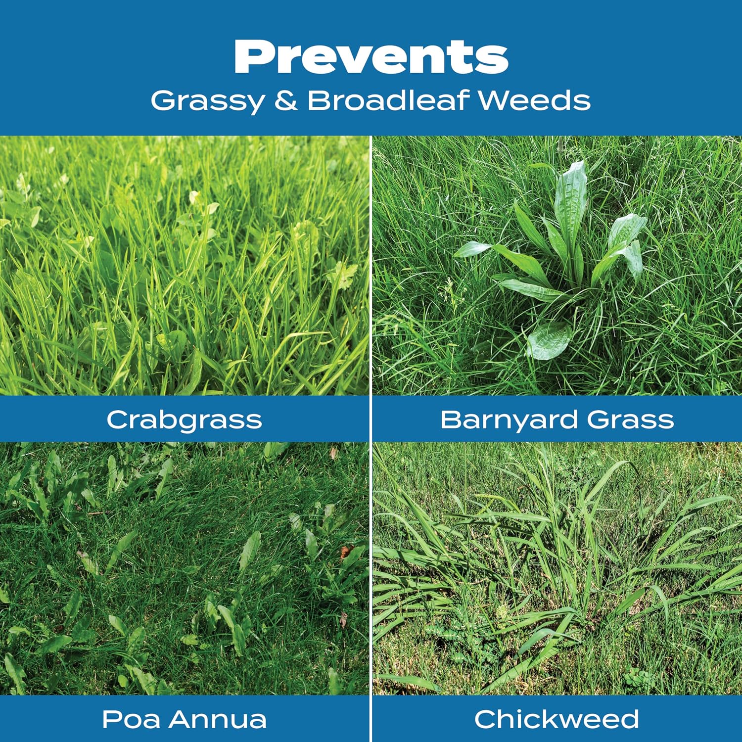 Scotts Turf Builder Halts Crabgrass Preventer with Lawn Food - Pre-Emergent Weed Killer, Lawn Fertilizer, 5,000 sq. ft., 13.35 lbs. (2-Pack)
